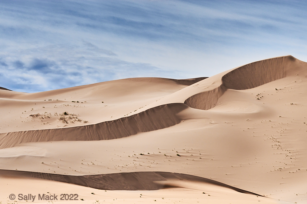 Dunes, Mongolia 3812 (2012)