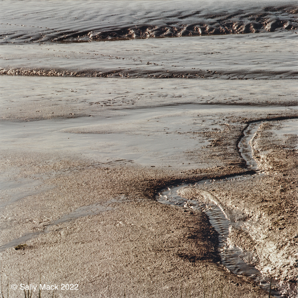 Tidal rill, Mare Island CA 91-14 (2008)