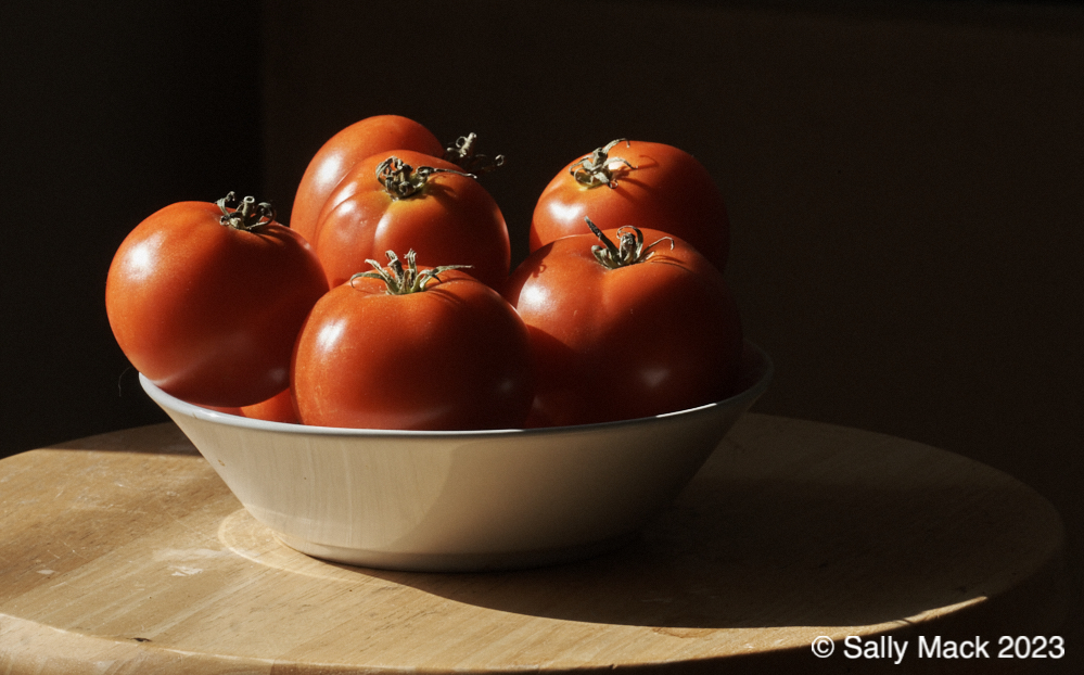 Tomatoes, Vallejo CA 2222 (2016)