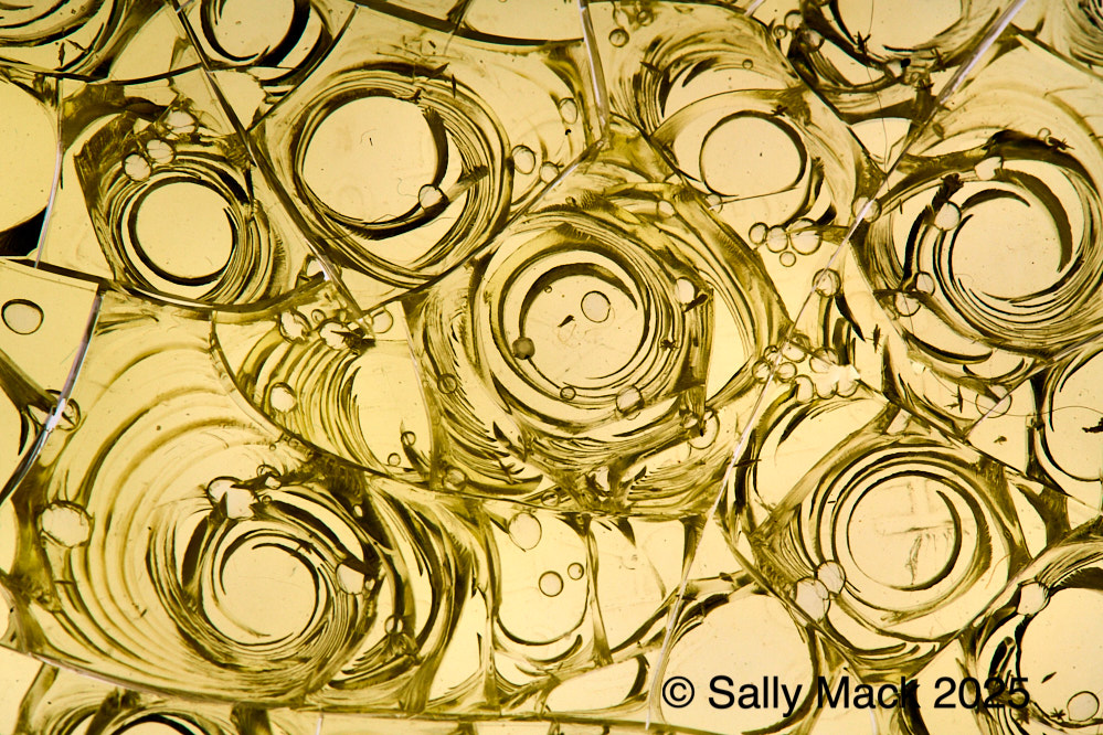 Abstract circles on yellow, Vallejo CA 01827 (2025)